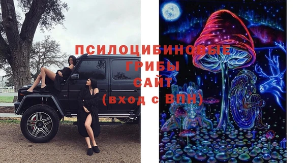 ешки Михайлов
