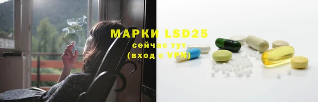 ПСИЛОЦИБИНОВЫЕ ГРИБЫ Баксан