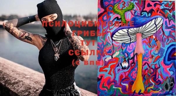 ПСИЛОЦИБИНОВЫЕ ГРИБЫ Баксан